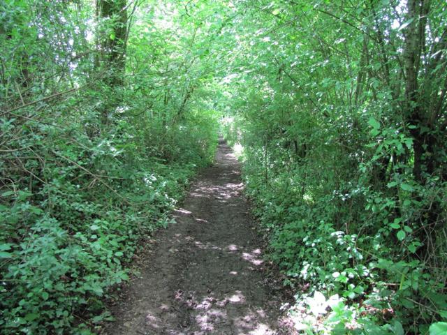 auf dem Weg nach St.Félix