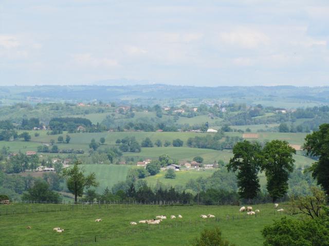 die hügelige Landschaft kurz vor Figeac