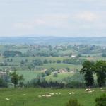 die hügelige Landschaft kurz vor Figeac