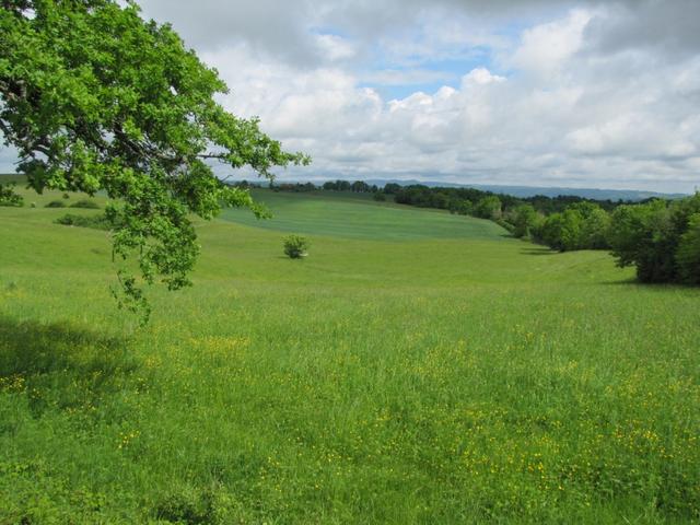 das Quercy ist ein schönes Gebiet