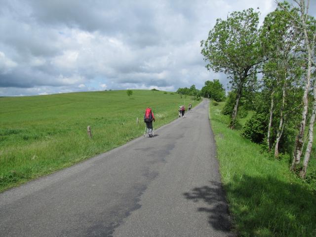 immer wieder muss man auf dem Jakosbweg auch auf Asphalt laufen