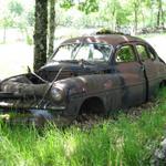 auch hier werden die Autos nicht verschrottet, man stellt sie einfach unter einem Baum