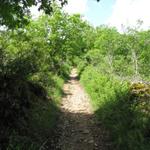 wir haben das Gebiet der Causse erreicht