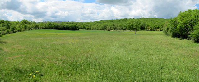 Weideflächen und