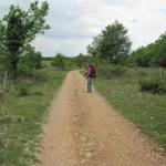 130km führt der Jakobsweg durch die Causse