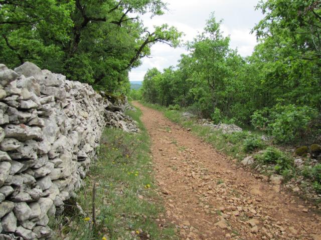 der Weg ist das Ziel