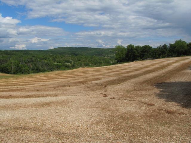 die Causse de Quercy besteht zum grössten Teil aus Jurakalk