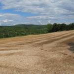 die Causse de Quercy besteht zum grössten Teil aus Jurakalk