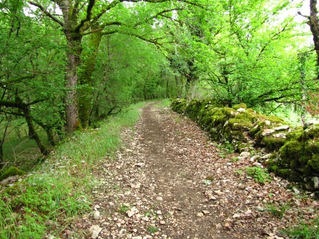 wir sind nun mitten in der Causse du Quercy