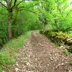 wir sind nun mitten in der Causse du Quercy