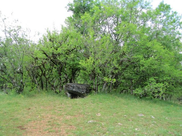 ein mystischer Ort, der Dolmen du Joncas