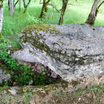 Breitbildfoto vom Dolmen du Joncas