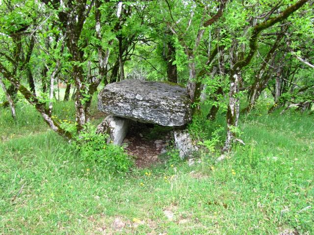 es war eine richtige Entscheidung, den Weg zu verlassen und dieser schöne Dolmen zu besuchen