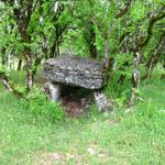 es war eine richtige Entscheidung, den Weg zu verlassen und dieser schöne Dolmen zu besuchen