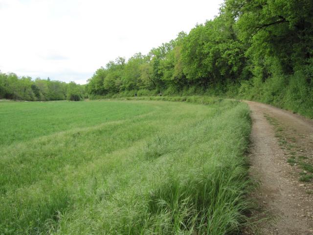 wir bleiben auf dem Weg Richtung Bach