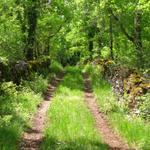 auf schönen Wegen führt der Weg Richtung Bach