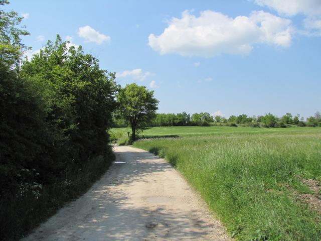 die Wege in dieser Region werden mit Kreidekalk erstellt, darum die helle Farbe des Weges