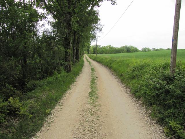 auf dem richtigen Weg Richtung Lascabanes, nachdem wir uns wegen einer Pilgerin verlaufen hatten