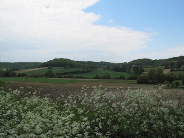 Blick Richtung Lascabanes