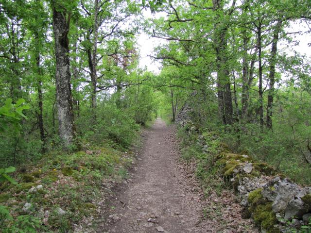 auf dem Weg nach St.Jean