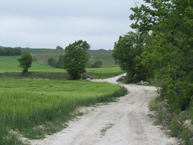 der Wanderweg besteht weiterhin aus Kreidekalk darum die helle Farbe