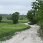 der Wanderweg besteht weiterhin aus Kreidekalk darum die helle Farbe