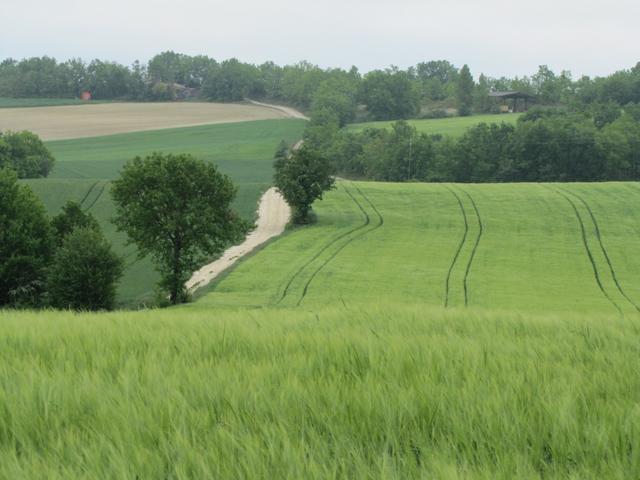 auf dem Weg nach Montcuq