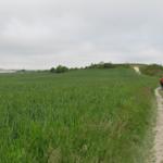 auf einem Höhenzug führt der Weg alles geradeaus Richtung Montcuq