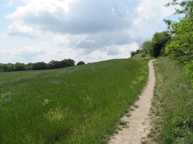 der Weg ist das Ziel