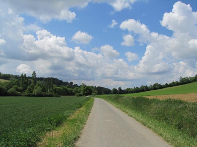 auf dem Weg nach Montlauzun