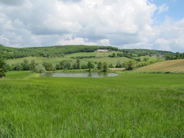 Blick zurück zum schönen Weiher