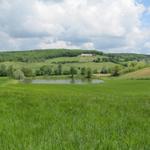 Blick zurück zum schönen Weiher