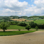 Breitbildfoto auf dem Weg kurz vor Montlauzun