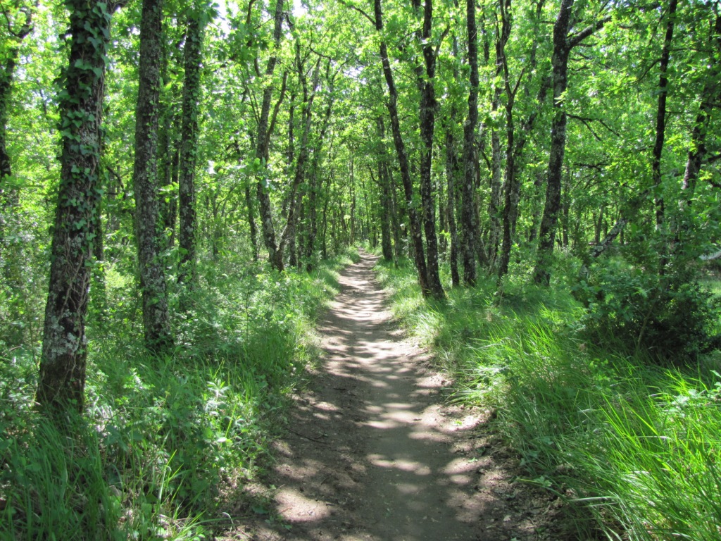 auf dem Weg nach Lauzerte