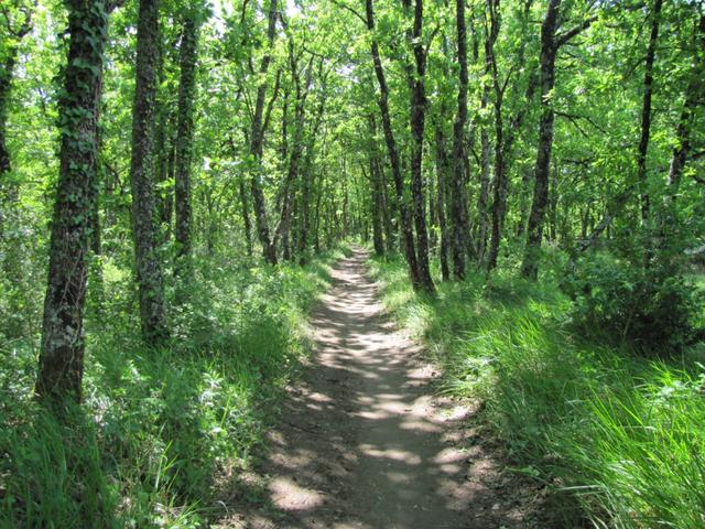 auf dem Weg nach Lauzerte