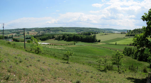 schönes Breitbildfoto auf dem Weg nach Lauzerte