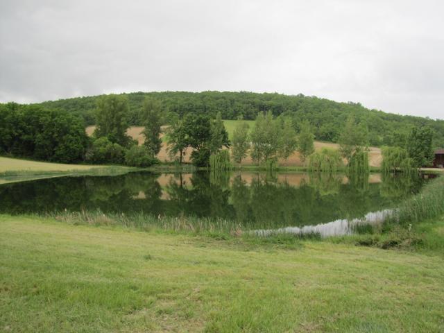 der Weg führt neben einem schönen Weiher, mit Frosch gekuake