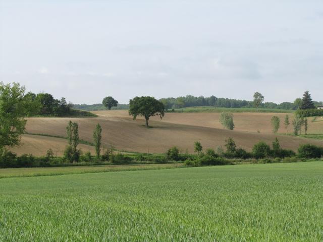 wir befinden uns im Tal mit dem lieblichen Namen "Combe de Miel" (Honigtal)