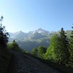 auf dem Weg Richtung Bärfallen mit Blick auf den Brisen