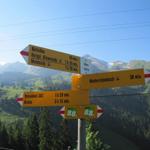 Wegweiser bei Ahorn 1345 m.ü.M. es geht weiter Richtung Bärfallen