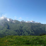 Breitbildfoto von der Ober Musenalp 1747 m.ü.M. aus gesehen