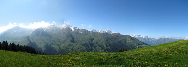 Breitbildfoto von der Ober Musenalp 1747 m.ü.M. aus gesehen