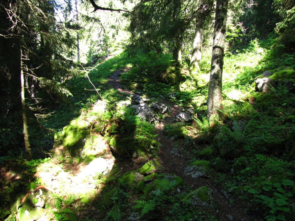 kur vor dem Punkt 1481 m.ü.M.