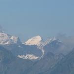 Blick zu den Bergriesen des Berner Oberland, die Wetterhorngruppe