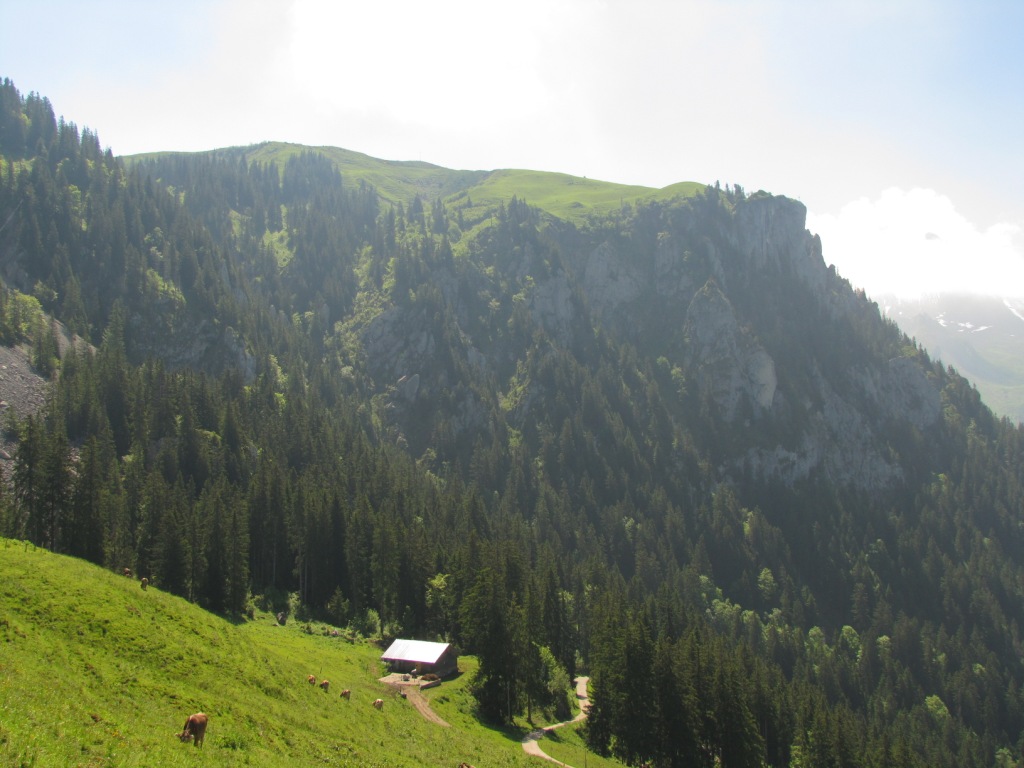 von dort oben der Musenalp sind wir gekommen