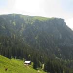 von dort oben der Musenalp sind wir gekommen