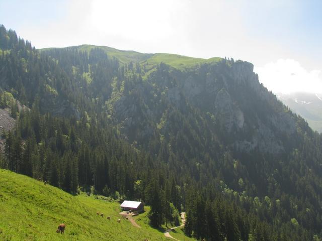 von dort oben der Musenalp sind wir gekommen