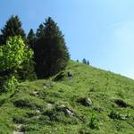 nun geht es wieder aufwärts zum Bleikigrat