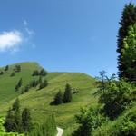 unser Ziel der Buochserhorn rückt näher