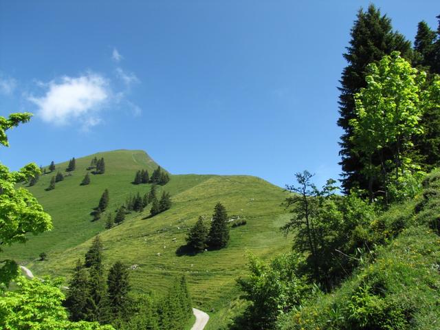 unser Ziel der Buochserhorn rückt näher